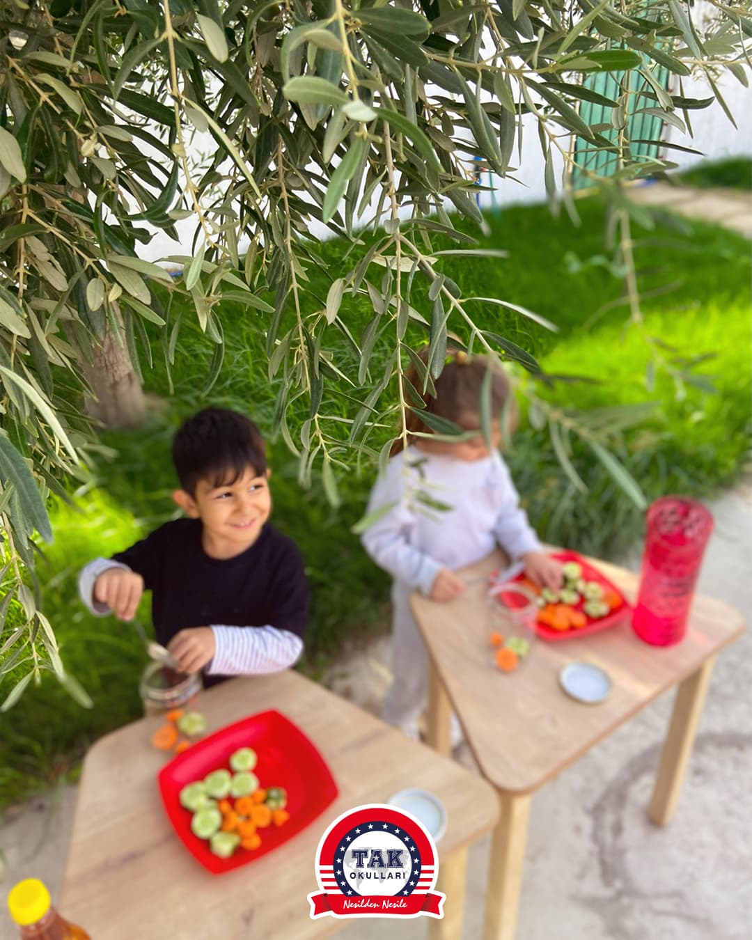 Bahçe Etkinliği